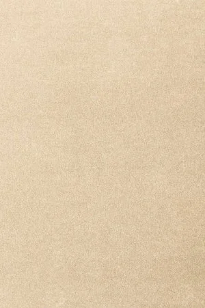 Ковровое покрытие AW Oinone 34 - (5м) в Нижнем Новгороде