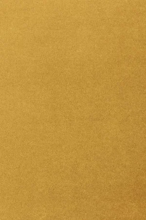 Ковровое покрытие AW Oinone 54 - (5м) в Нижнем Новгороде