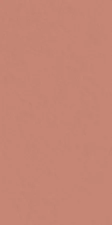 Керамогранит Italon Серфейс Скарлетт (Патинированная, 60x120) в Нижнем Новгороде