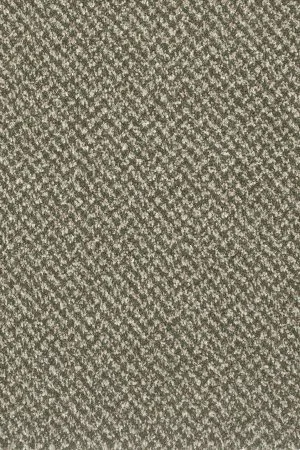 Ковровое покрытие AW Stainaway Tweed 24 - (4м) в Нижнем Новгороде