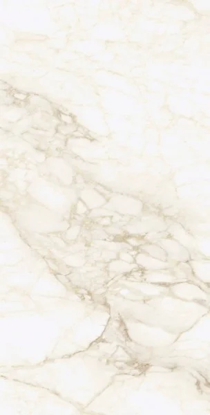 Керамогранит Coliseum Микеланджело Ворм 60х120 (Натуральный и Реттифицированный) в Нижнем Новгороде