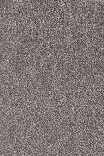 Ковровое покрытие AW Messalina 49 - (5м) в Нижнем Новгороде