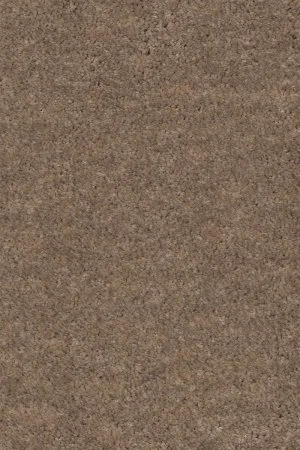 Ковровое покрытие AW Euphoria 36 - (4м) в Нижнем Новгороде