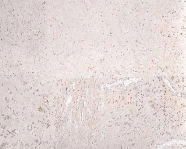 Настенное пробковое покрытие CorkArt PW 386 WS в Нижнем Новгороде