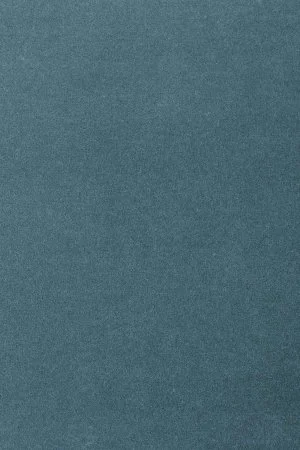 Ковровое покрытие AW Oinone 74 - (4м) в Нижнем Новгороде