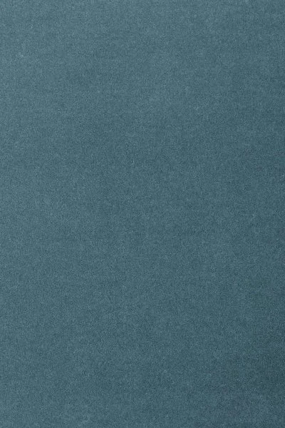 Ковровое покрытие AW Oinone 74 - (5м) в Нижнем Новгороде