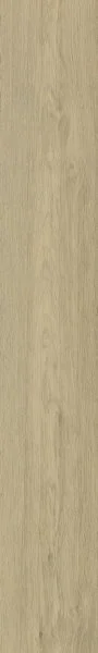 Виниловый пол FineFloor R-Line Дуб Натара FF-1177 в Нижнем Новгороде