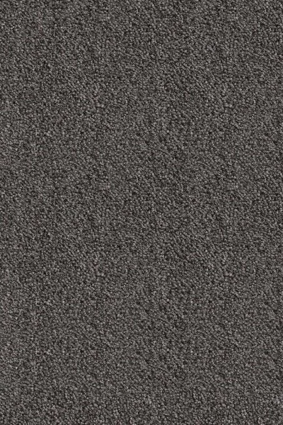 Ковровое покрытие AW Messalina 99 - (5м) в Нижнем Новгороде