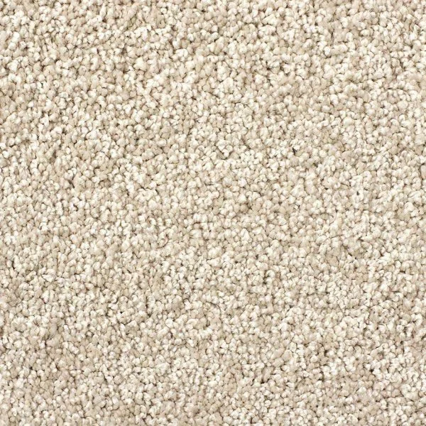 Ковровое покрытие Zartex Савойа 271 Топленое молоко - 3 м в Нижнем Новгороде