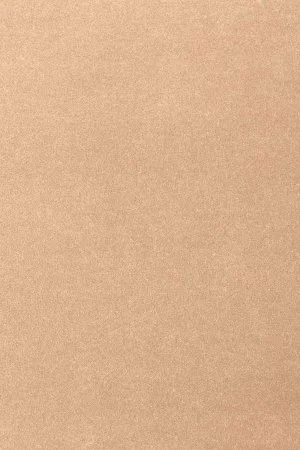 Ковровое покрытие AW Oinone 08 - (4м) в Нижнем Новгороде