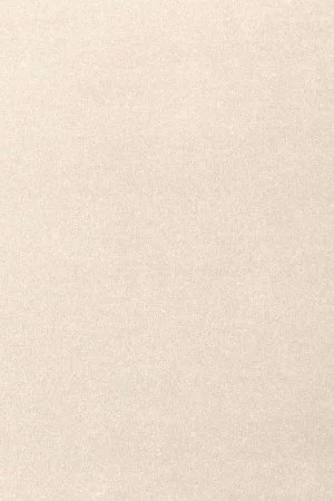 Ковровое покрытие AW Oinone 03 - (5м) в Нижнем Новгороде