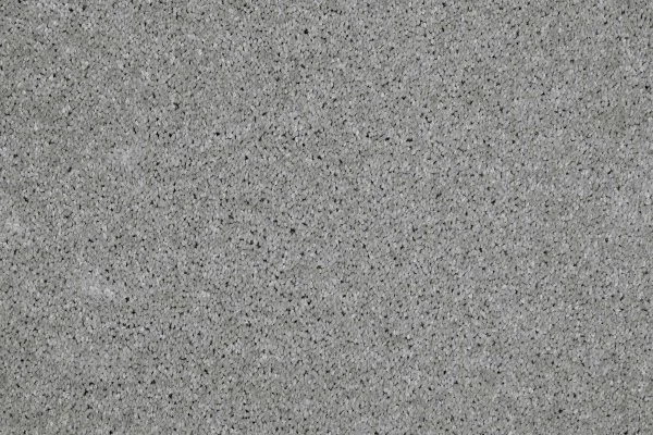 Ковровое покрытие AW Gala 90 - (4м) в Нижнем Новгороде