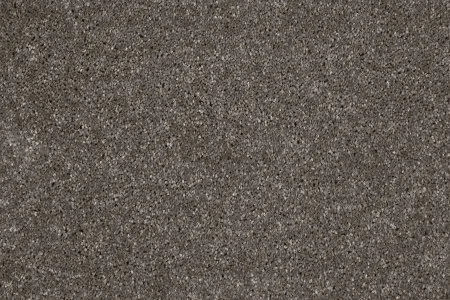 Ковровое покрытие AW Gala 49 - (5м) в Нижнем Новгороде