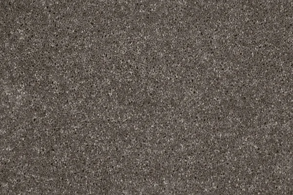 Ковровое покрытие AW Gala 49 - (4м) в Нижнем Новгороде