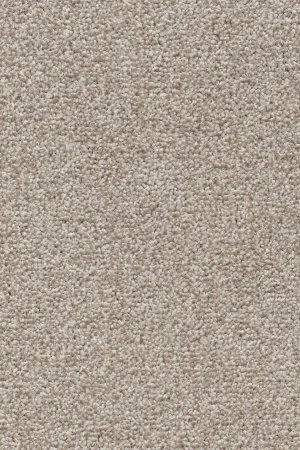 Ковровое покрытие AW Stainguard Harvest 04 - (4м) в Нижнем Новгороде