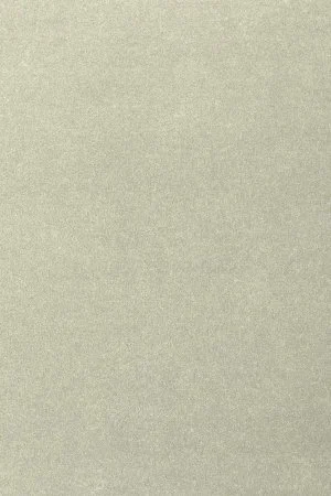 Ковровое покрытие AW Oinone 02 - (4м) в Нижнем Новгороде