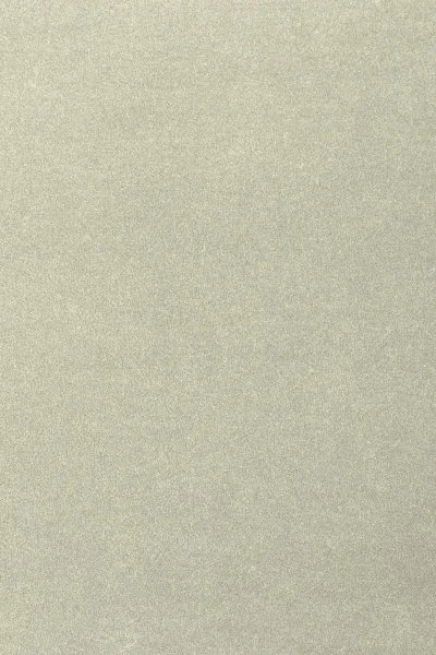 Ковровое покрытие AW Oinone 02 - (4м) в Нижнем Новгороде