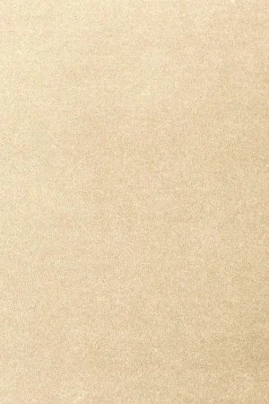 Ковровое покрытие AW Oinone 33 - (5м) в Нижнем Новгороде