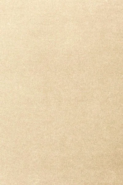 Ковровое покрытие AW Oinone 33 - (4м) в Нижнем Новгороде