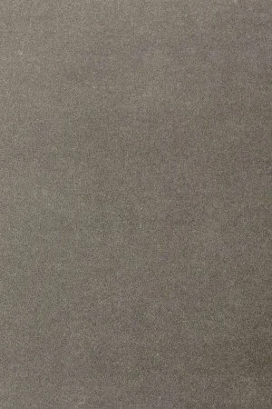 Ковровое покрытие AW Oinone 95 - (5м) в Нижнем Новгороде