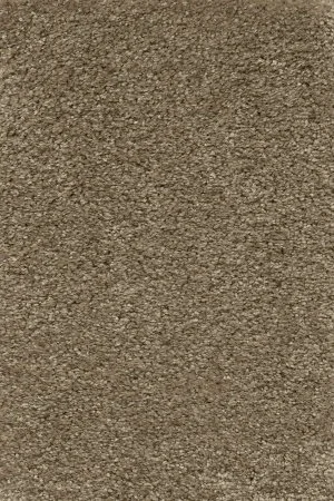 Ковровое покрытие AW Certosa 35 - (5м) в Нижнем Новгороде