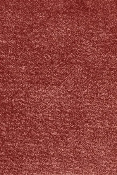 Ковровое покрытие AW Omphale 10 - (5м) в Нижнем Новгороде