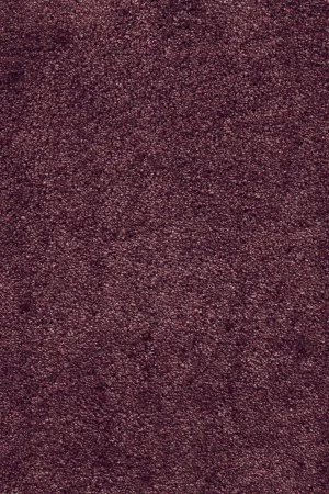 Ковровое покрытие AW Fedone 19 - (5м) в Нижнем Новгороде