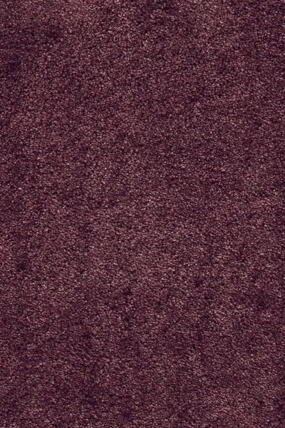 Ковровое покрытие AW Fedone 19 - (5м) в Нижнем Новгороде