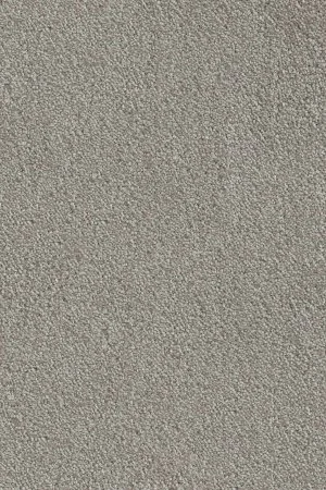 Ковровое покрытие AW Messalina 9 - (5м) в Нижнем Новгороде