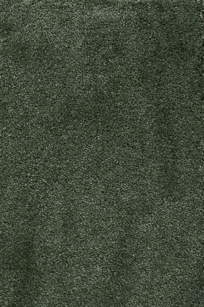 Ковровое покрытие AW Fedone 24 - (5м) в Нижнем Новгороде