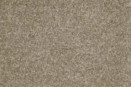 Ковровое покрытие AW Gala 33 - (5м) в Нижнем Новгороде