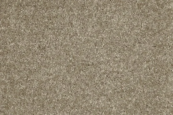 Ковровое покрытие AW Gala 33 - (4м) в Нижнем Новгороде