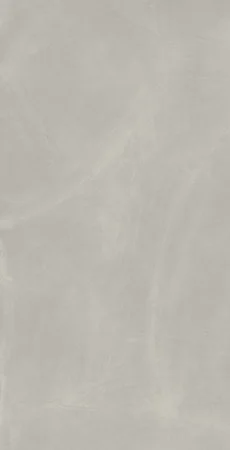 Керамогранит Italon Континуум Сильвер 80х160 (Натуральная и Реттифицированная) в Нижнем Новгороде
