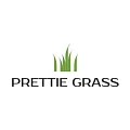 Искусственная трава Prettie Grass в Нижнем Новгороде