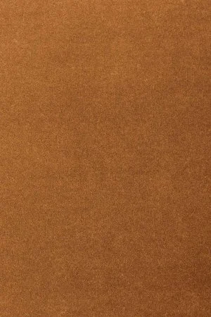 Ковровое покрытие AW Oinone 84 - (4м) в Нижнем Новгороде