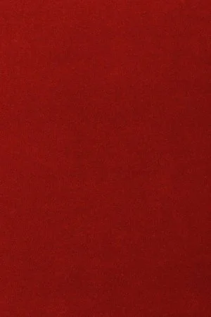 Ковровое покрытие AW Oinone 10 - (5м) в Нижнем Новгороде