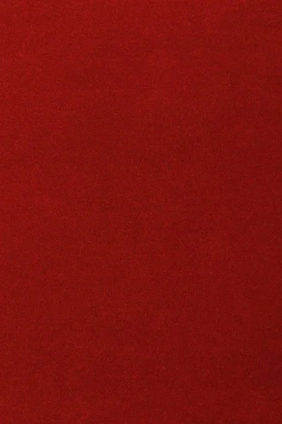 Ковровое покрытие AW Oinone 10 - (5м) в Нижнем Новгороде