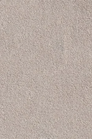 Ковровое покрытие AW Messalina 37 - (4м) в Нижнем Новгороде