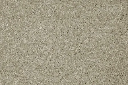 Ковровое покрытие AW Gala 03 - (5м) в Нижнем Новгороде