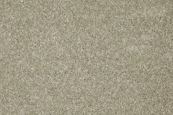 Ковровое покрытие AW Gala 03 - (4м) в Нижнем Новгороде