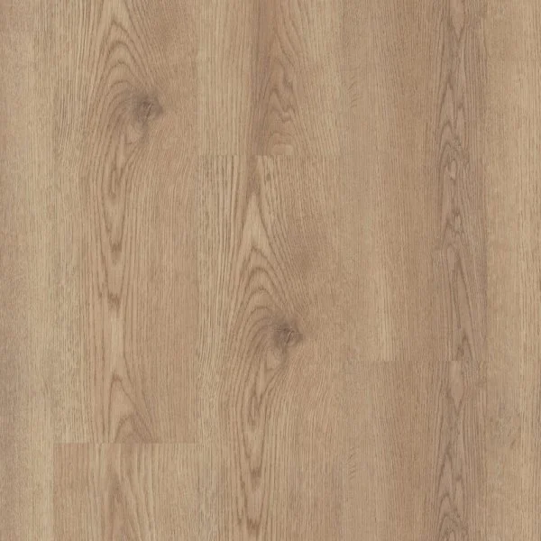 Discostar Arabesque_1
