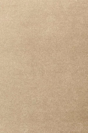 Ковровое покрытие AW Oinone 36 - (5м) в Нижнем Новгороде