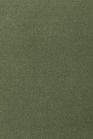 Ковровое покрытие AW Oinone 24 - (5м) в Нижнем Новгороде