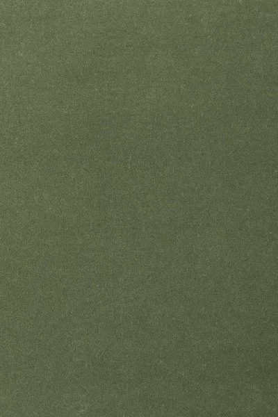 Ковровое покрытие AW Oinone 24 - (4м) в Нижнем Новгороде