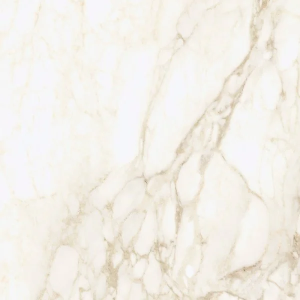 Керамогранит Coliseum Микеланджело Ворм 60х60 (Натуральный и Реттифицированный) в Нижнем Новгороде