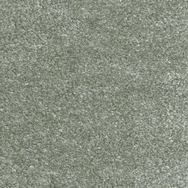 Ковровое покрытие AW Euphoria 28 - (5м) в Нижнем Новгороде