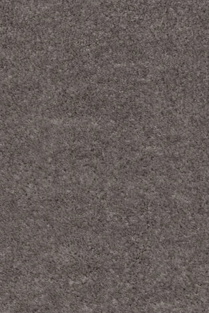 Ковровое покрытие AW Euphoria 45 - (5м) в Нижнем Новгороде