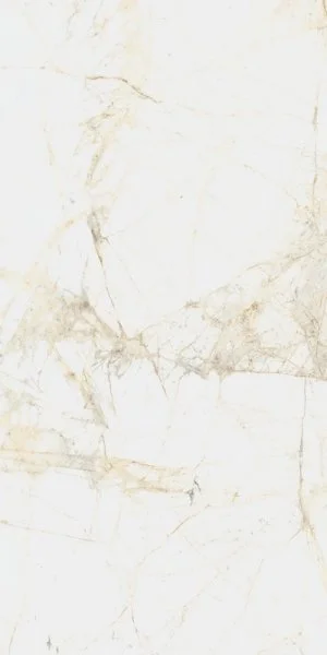 Керамогранит Coliseum Канова Уайт 60х120 (Натуральный и Реттифицированный) в Нижнем Новгороде