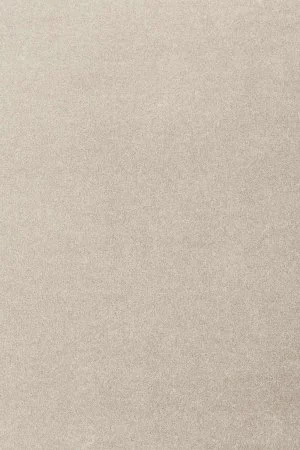 Ковровое покрытие AW Oinone 39 - (5м) в Нижнем Новгороде