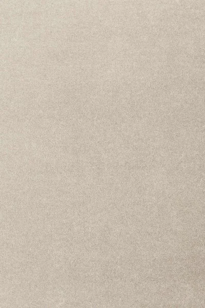 Ковровое покрытие AW Oinone 39 - (4м) в Нижнем Новгороде